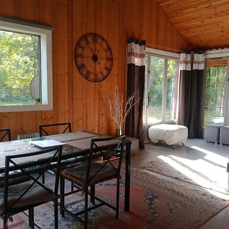 Chalet En Foret, Brame Du Cerf Valpuiseaux Rum bild