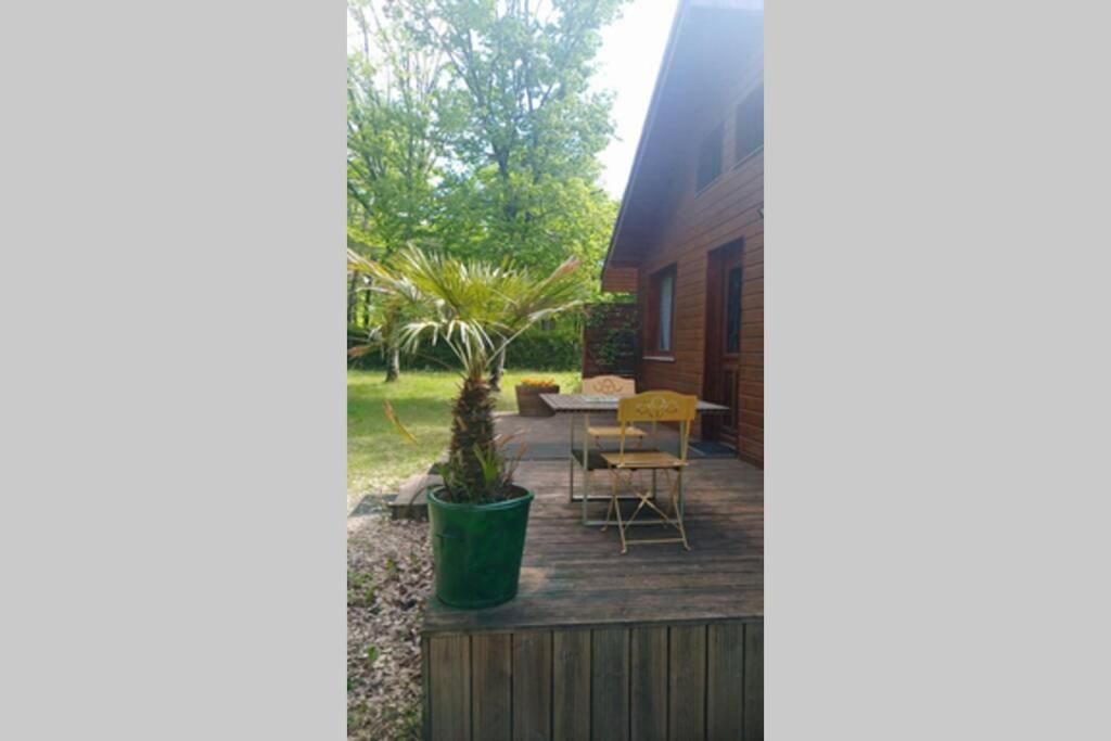 Chalet En Foret, Brame Du Cerf Valpuiseaux Exteriör bild