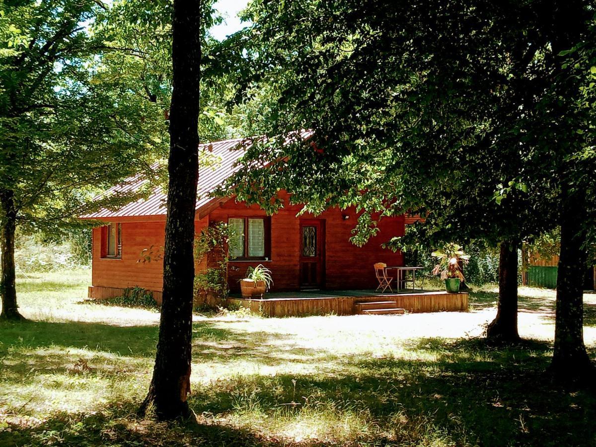 Chalet En Foret, Brame Du Cerf Valpuiseaux Exteriör bild