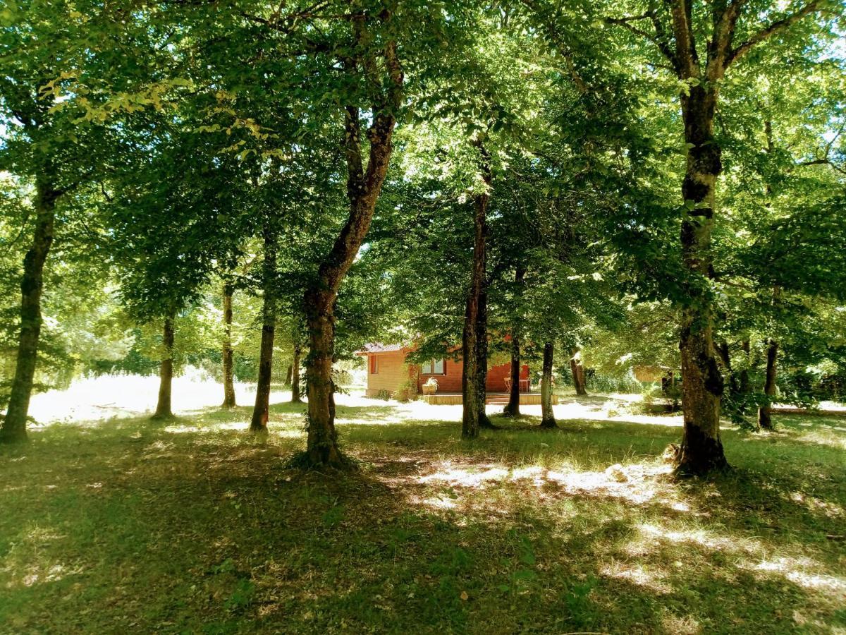 Chalet En Foret, Brame Du Cerf Valpuiseaux Exteriör bild